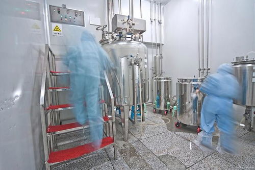 遼寧樂金建設(shè) 寧安市食品工廠凈化裝修中加藥泵的關(guān)鍵作用與技術(shù)要點(diǎn)